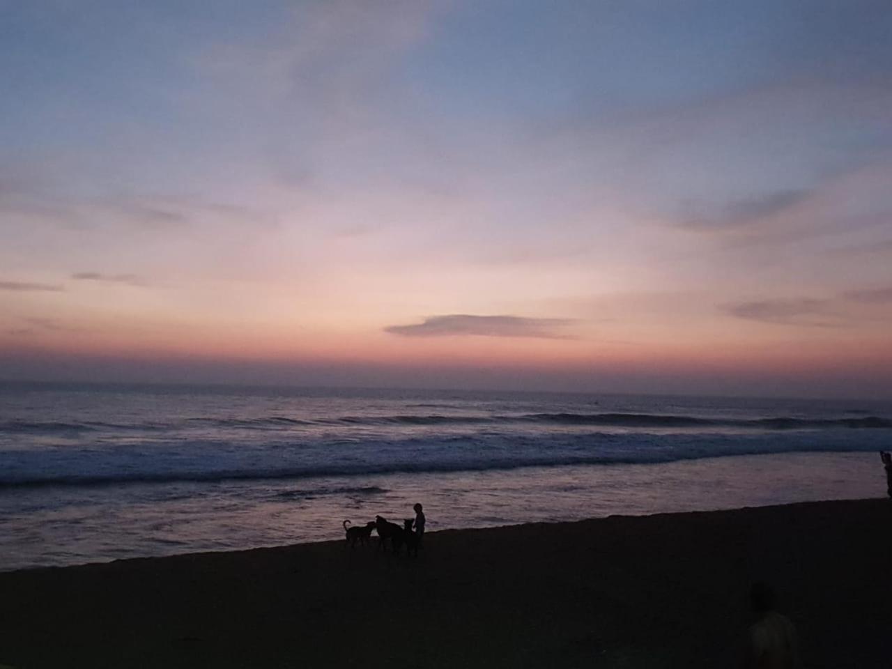 Mango Villa Hikkaduwa Buitenkant foto