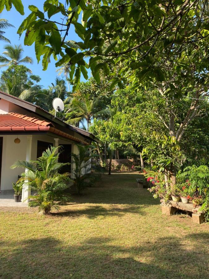 Mango Villa Hikkaduwa Buitenkant foto