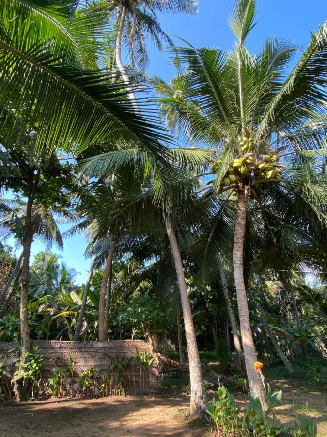 Mango Villa Hikkaduwa Buitenkant foto
